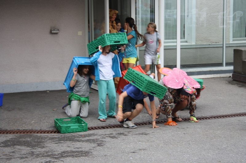 Village Camps International Summer Camp Leysin, Switzerland 2026-08-15 https://www.villagecamps.com/journals_admin/images/685-34-pet zoo (51).jpg